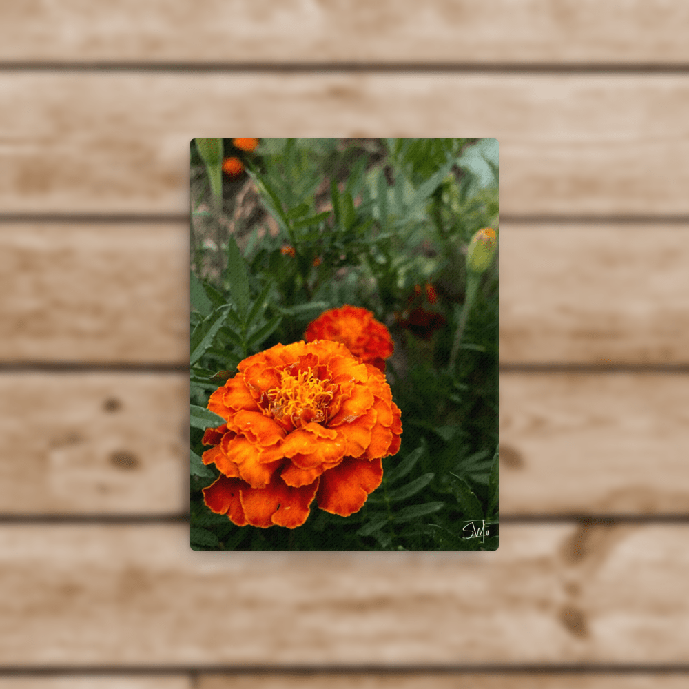 Orange Marigold Flower Canvas Art | Bold Floral Print | Vibrant Wall Decor