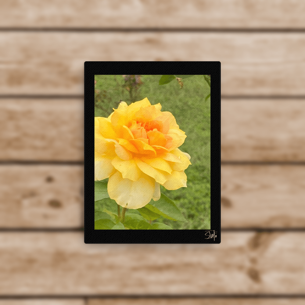 Yellow Rose Flower Canvas Wall Art | Main Street Collective | Floral Print