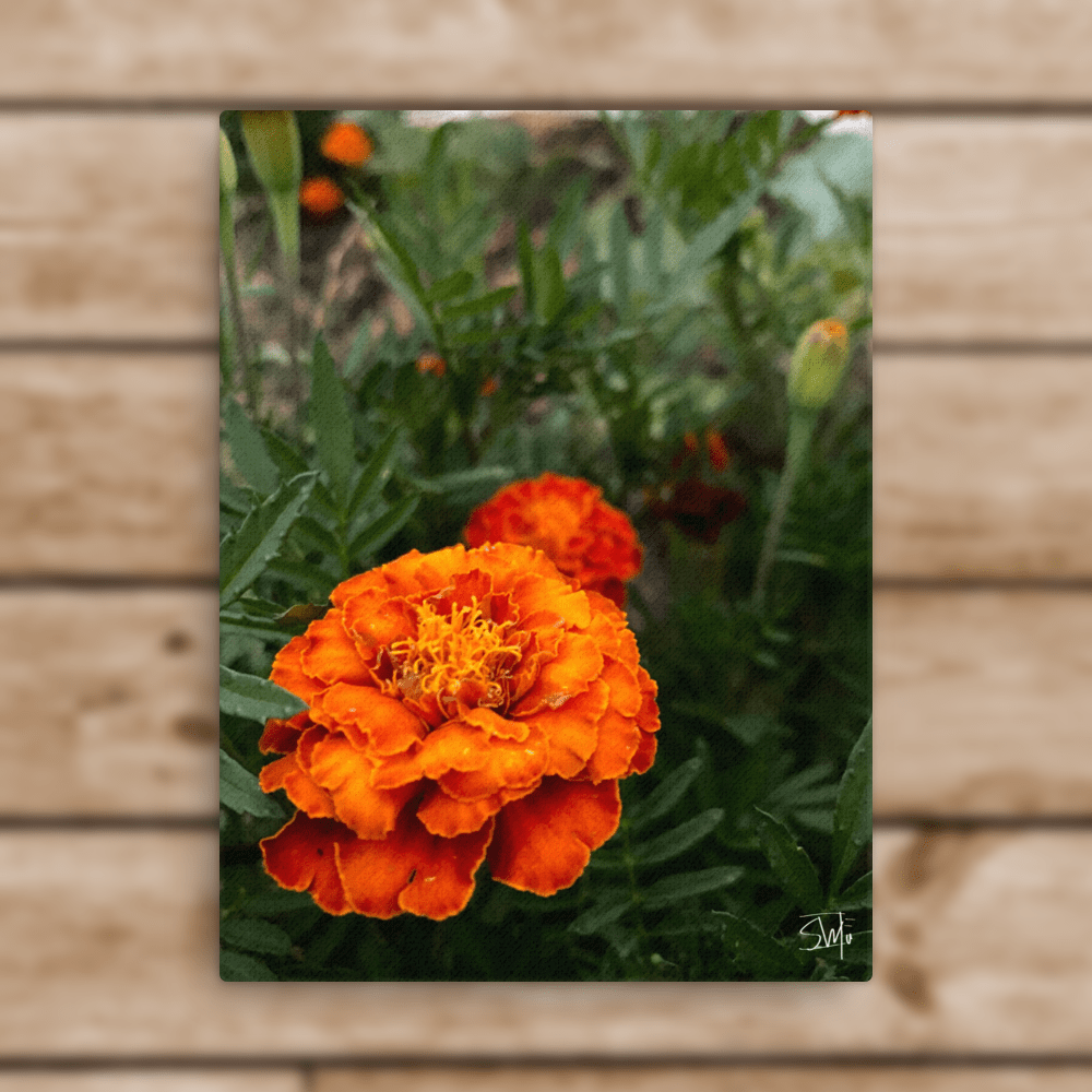 Vibrant Orange Flower Canvas Art: Close-up Photo for Modern Floral Wall Decor