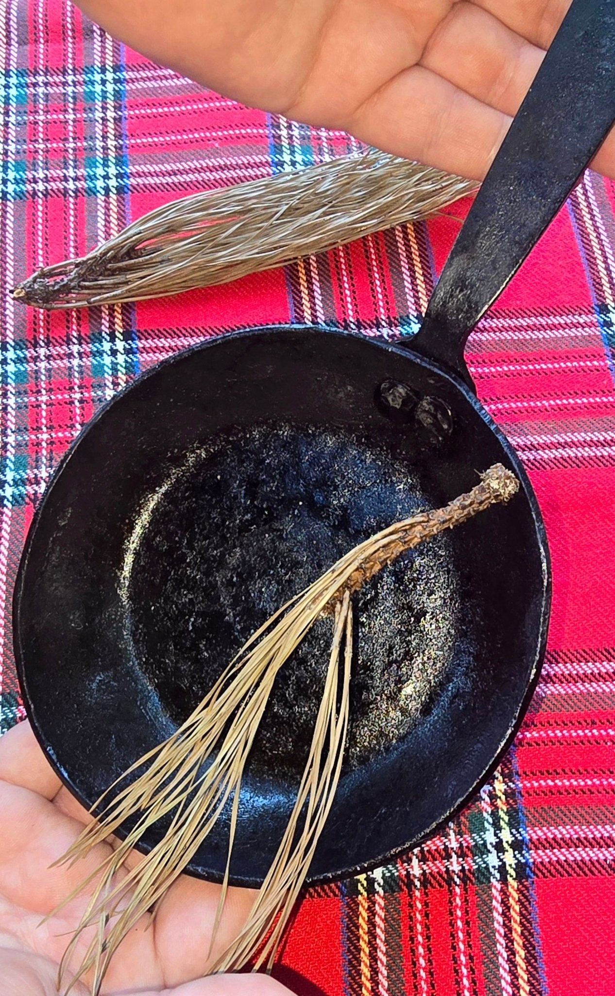 Hand-Forged Iron Skillet by Redbeard's Forge: Rustic Kitchenware for Cooking, Searing & Frying. Main Street Collective