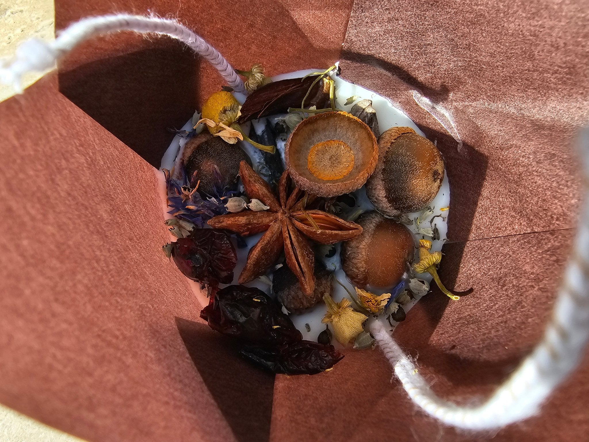 Handmade Soy Wax Fire Starters - Eco-Friendly Botanical Design - Main Street Collective