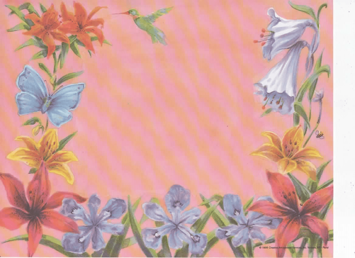 Floral background with butterfly and hummingbird, A & H Creative Names design, Main Street Collective