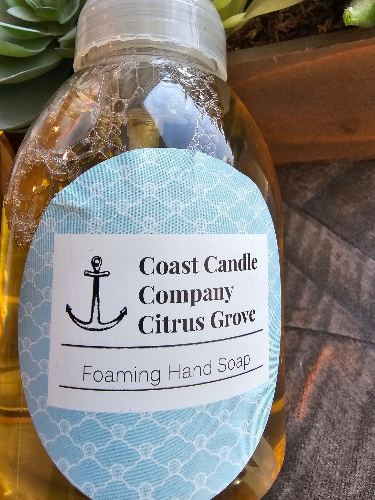 Coast Candle Company Citrus Grove Foaming Hand Soap - Handcrafted, natural cleanser. Elevate your handwashing!