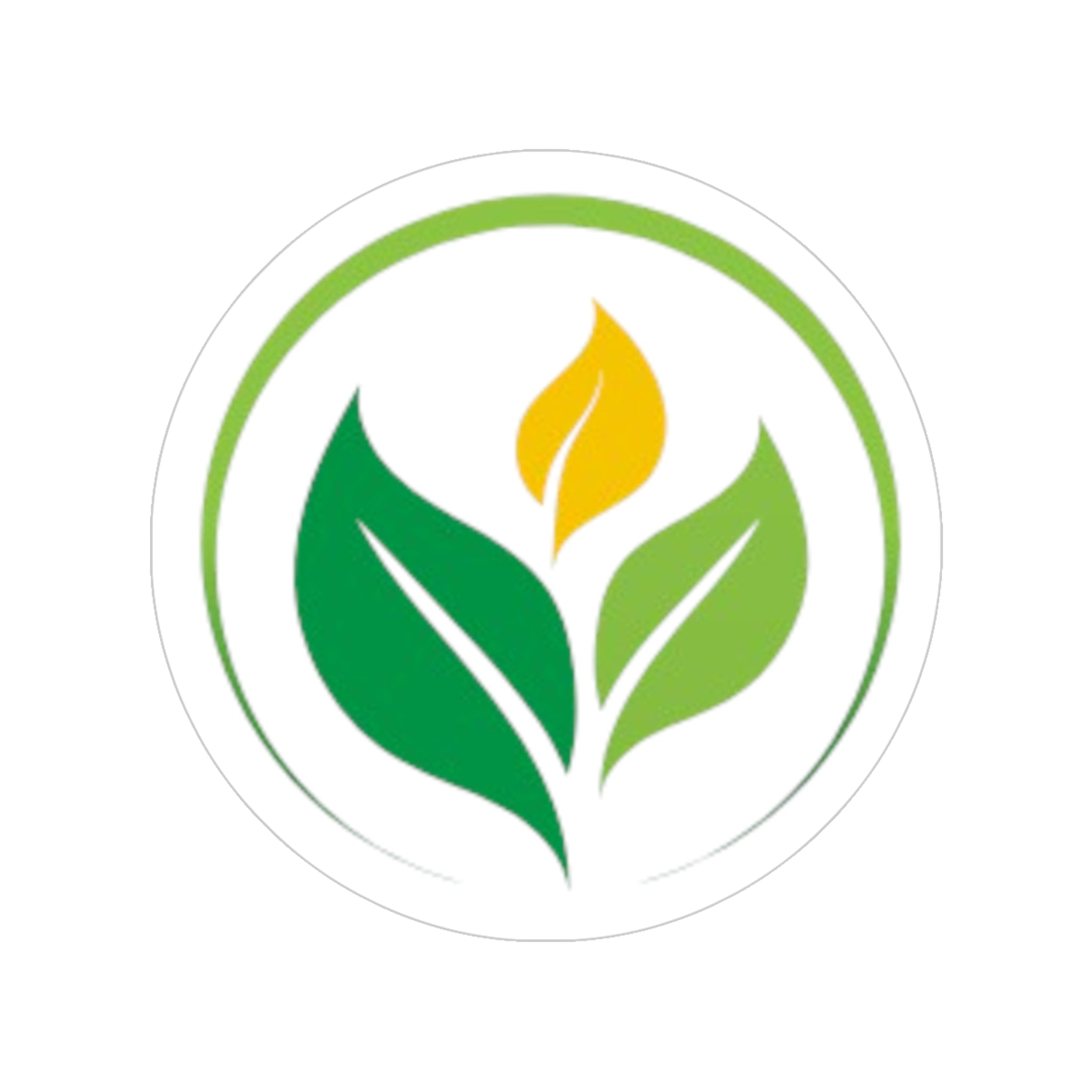 Main Street Collective Eco-Friendly Logo Sticker: Custom Outdoor Vinyl Decal