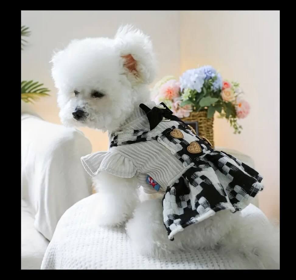 Houndstooth Dog Dress with Heart Buttons | Cute Pet Apparel for Small Dogs