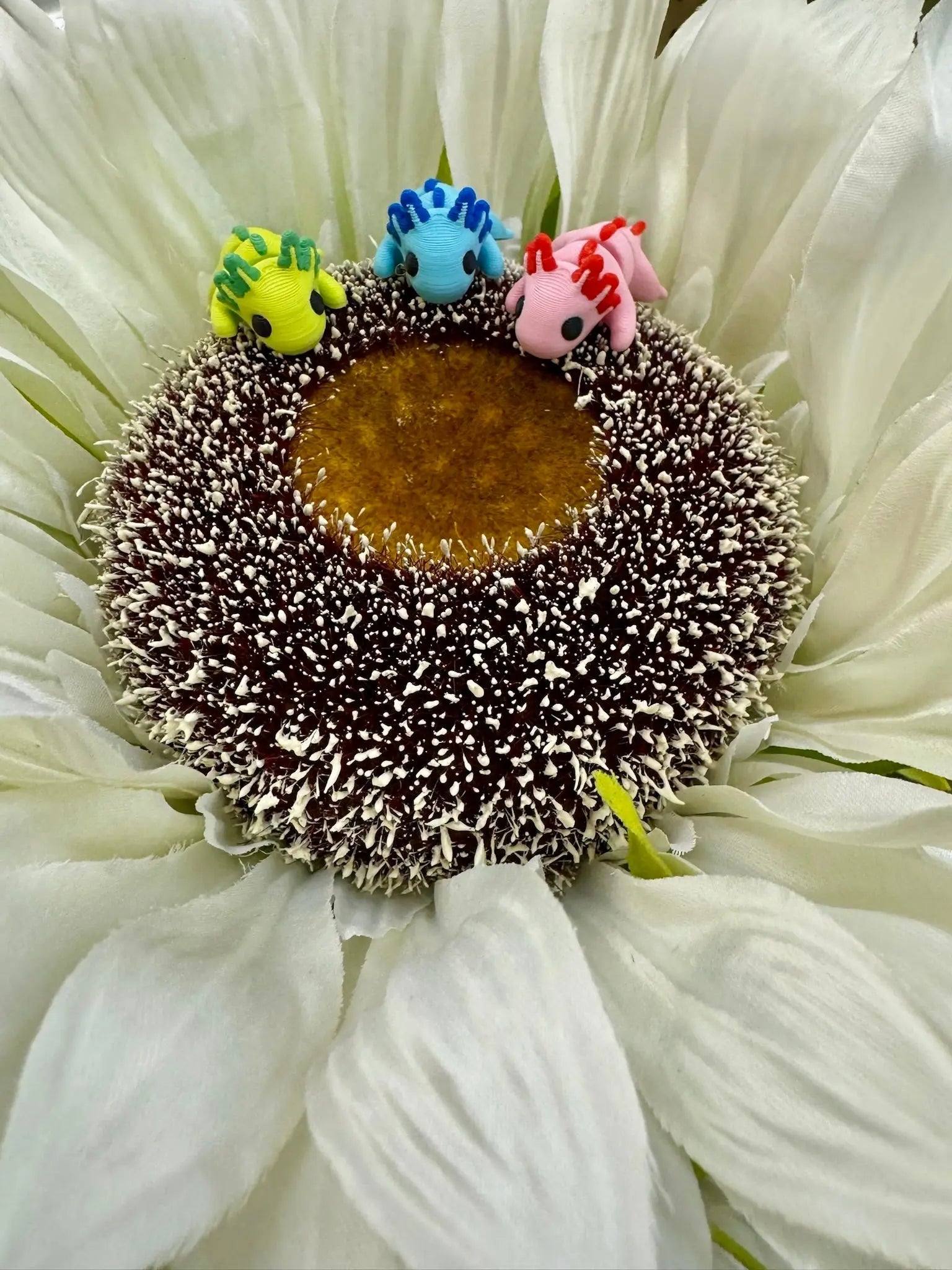 Colorful Axolotl Fidget Toys on Daisy: 3D Printed Sensory & Stress Relief