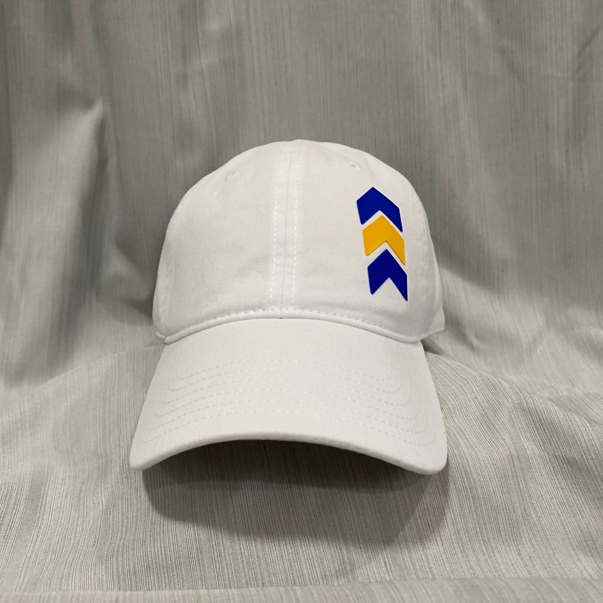 Down Syndrome Awareness Dad Hat: Blue & Yellow Chevron, Richardson 326. Support & Style!