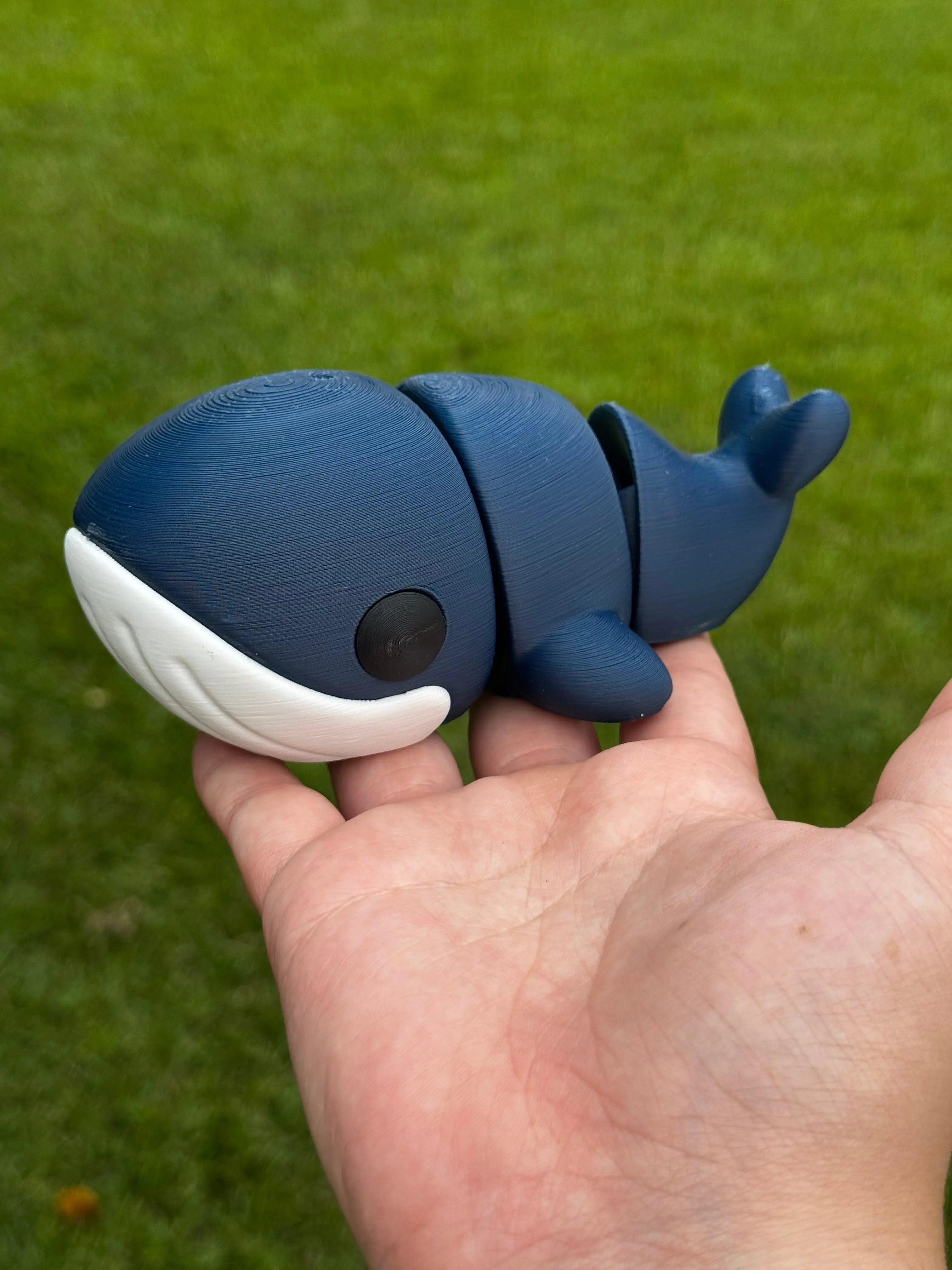 3D Printed Blue Whale Fidget Toy - Main Street Collective: Handmade, Eco-Friendly Ocean Decor & Stress Relief