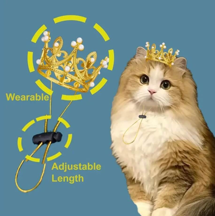 Cat with Gold Crown | Pet Costume Accessory | Adjustable | Coastal Couture Pet Boutique