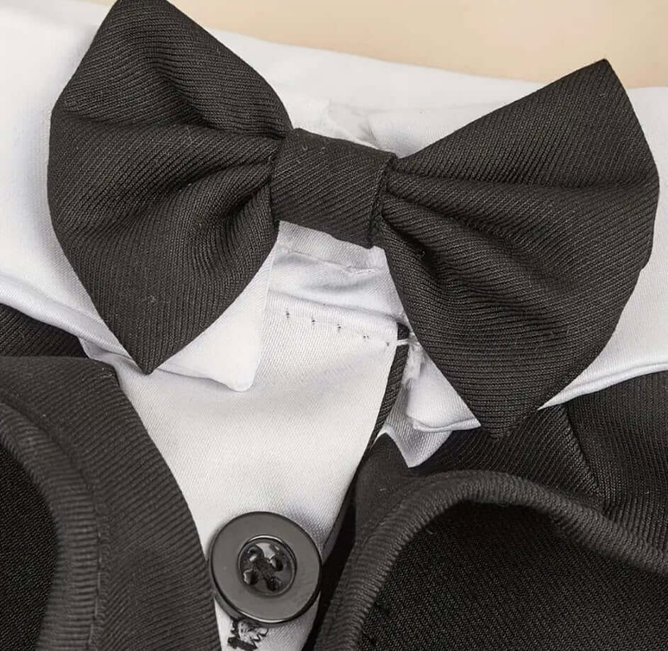 Close-up of formal dog tuxedo bow tie curated by Coastal Couture Pet Boutique

