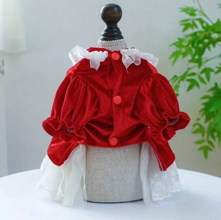 Red Velvet Dog Dress with Lace & Pearls | Festive Pet Apparel
