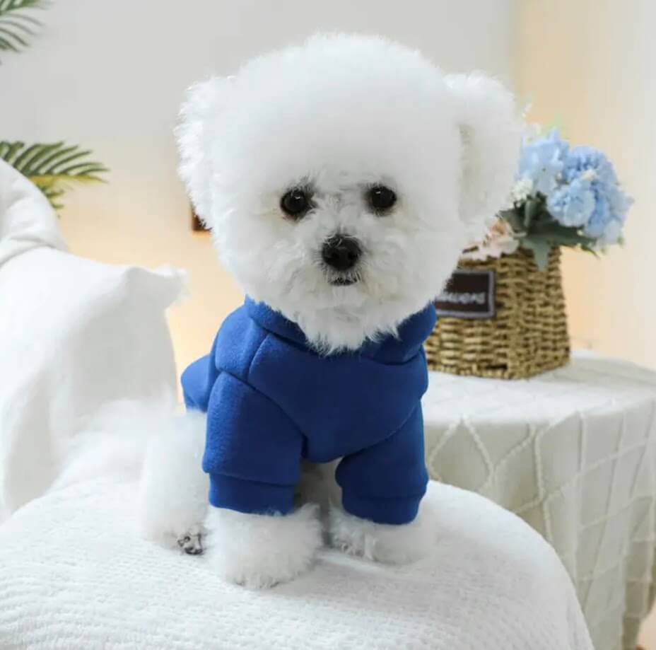 Dog in Blue Prince Hoodie | Cute Puppy Fashion Apparel