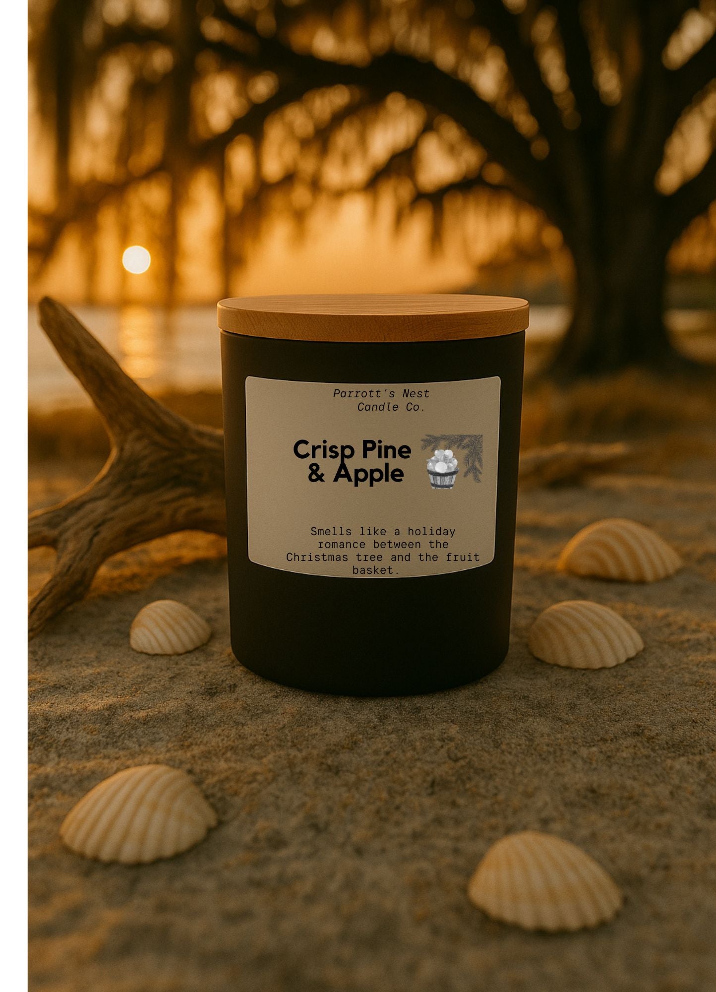 Crisp Pine & Apple Candle by Parrott's Nest Candle Co: Soy candle with pine & apple scent on beach with shells. Holiday fragrance.