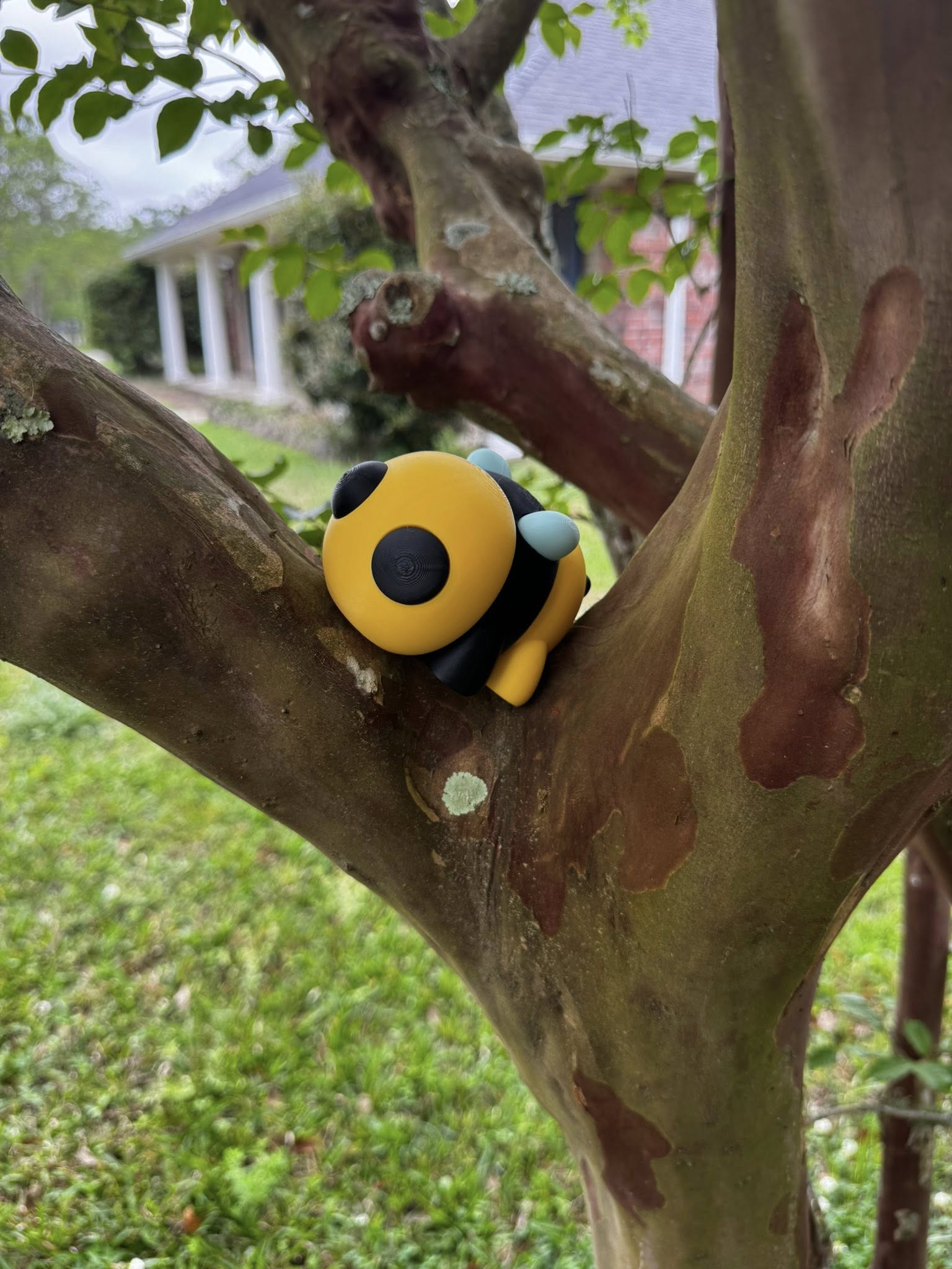 Bumblebee Fidget Toy - 3D Printed Sensory Toy, Handmade in Mississippi, Stress Relief for Kids and Adults.