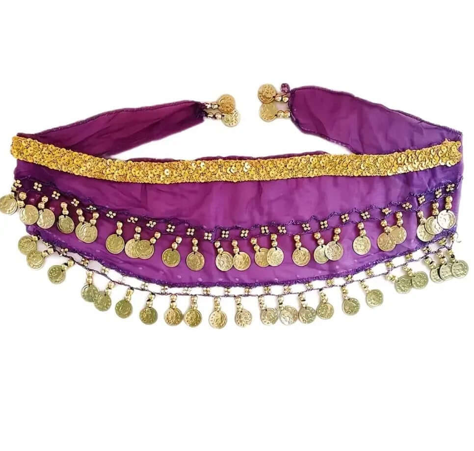 Belly Dance Costume Belt: Purple Fabric, Gold Coins, Dancer Accessory