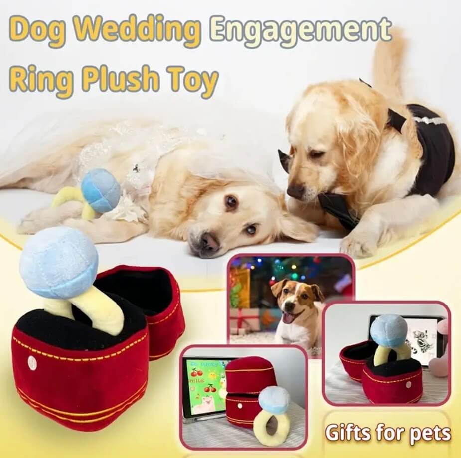 Dog Wedding Toy: Engagement Ring Box Plush. Cute dog toys for wedding, proposal, & engagement photos. Plush ring box dog toy