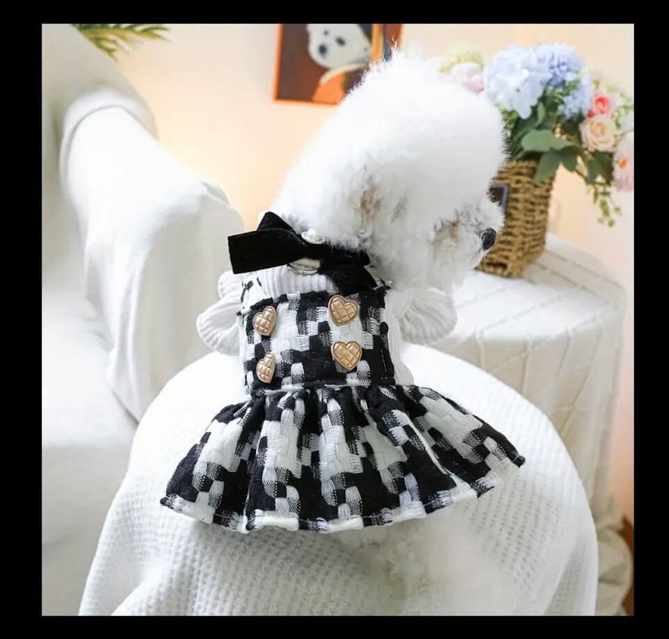 Dog in Houndstooth Dress with Heart Buttons | Coastal Couture Pet Apparel, Luxury Dog Clothing