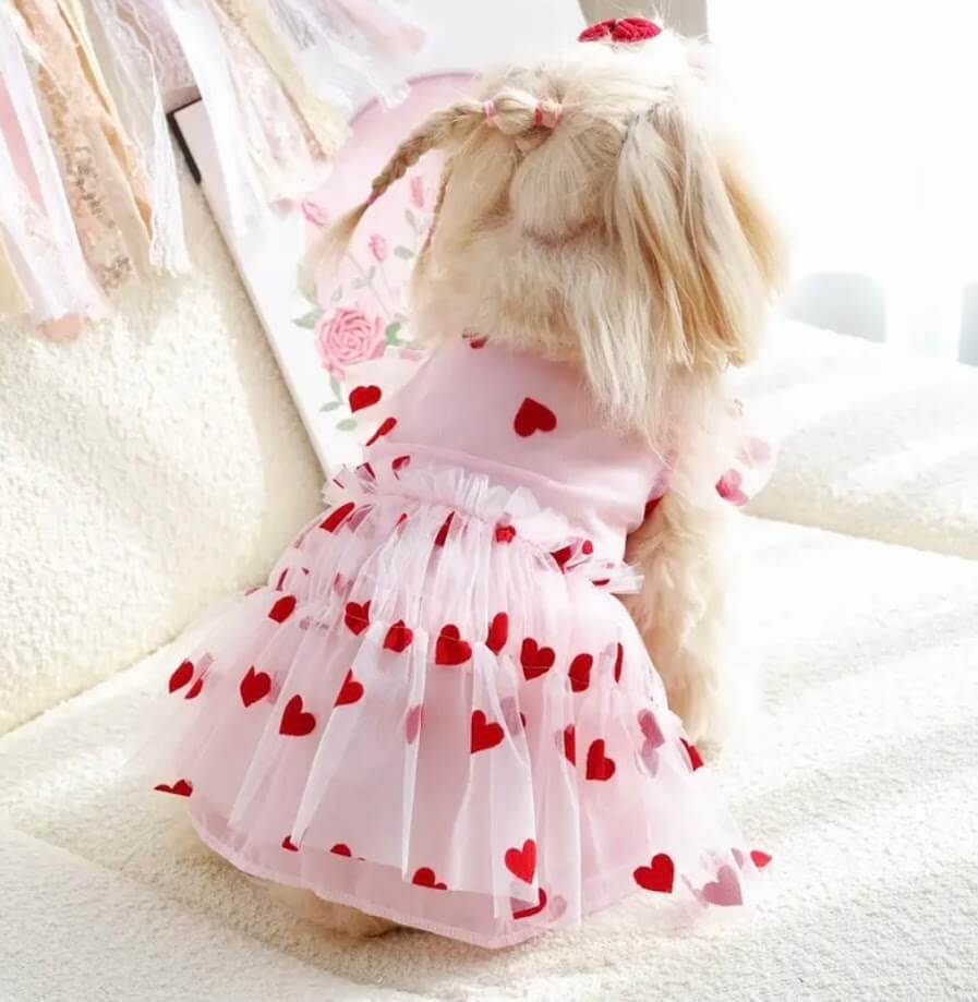 Pink Dog Dress with Red Hearts | Valentine's Day Pet Apparel | Coastal Couture Pet Boutique