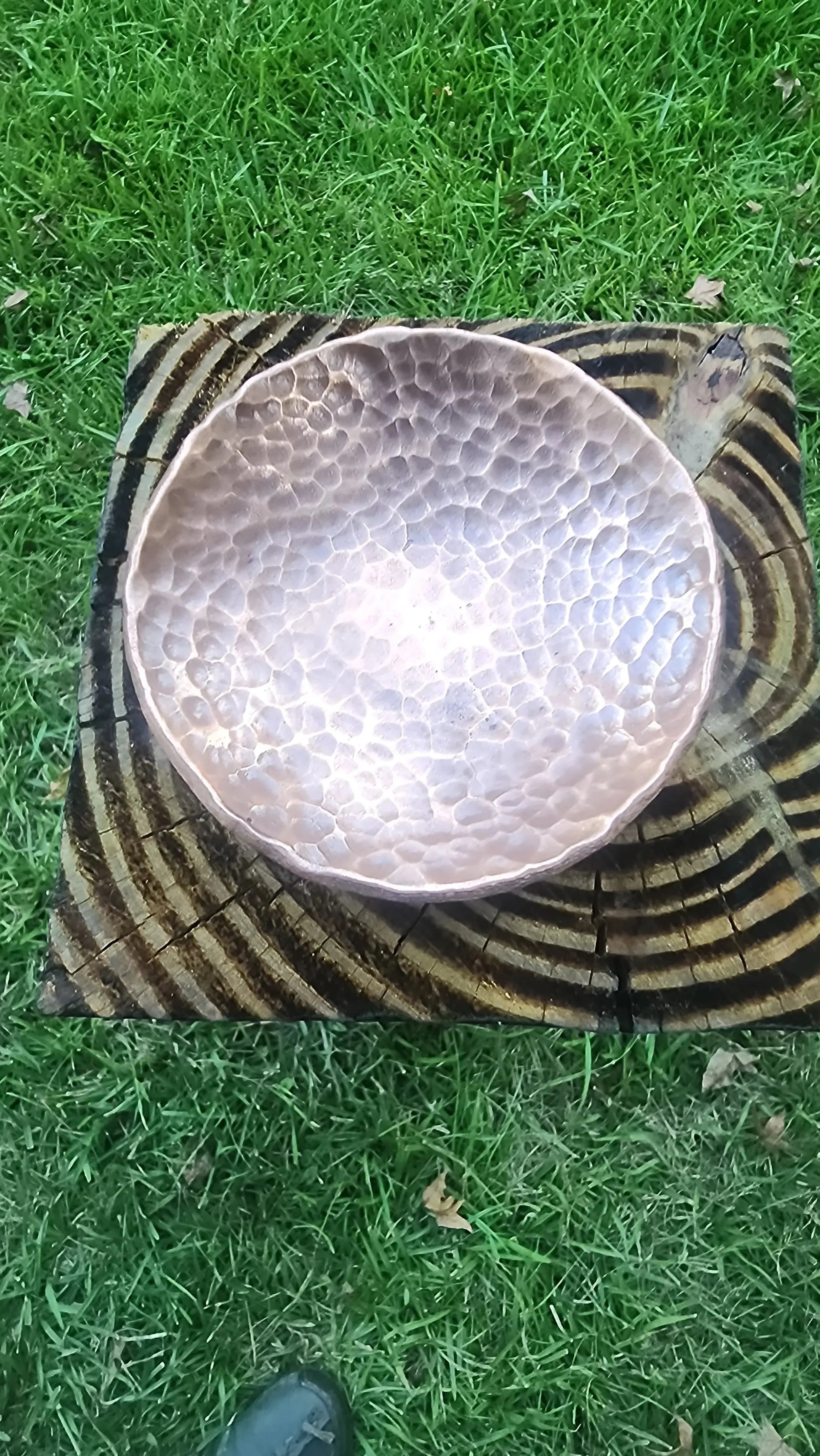 Forged Little Dish Redbeard's Forge LLC