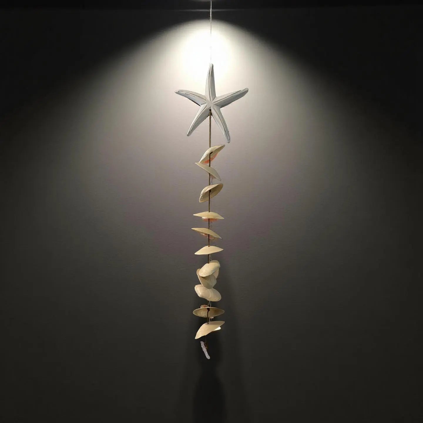 Seashell mobile with starfish and natural shells hanging on a wall.