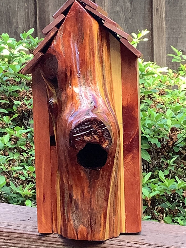 Handmade Cedar Birdhouse: Unique Design, Predator Shield - Mississippi Crafted Wildlife Home