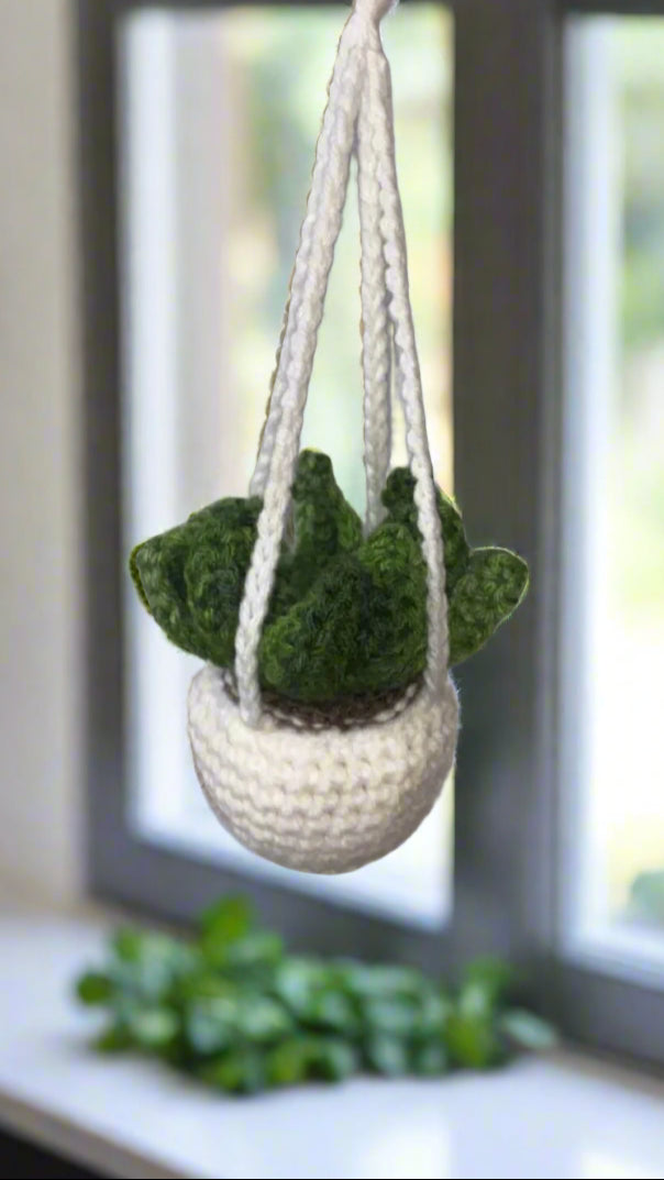 Handmade Crocheted Succulent Hanging Plant - No Maintenance Decor