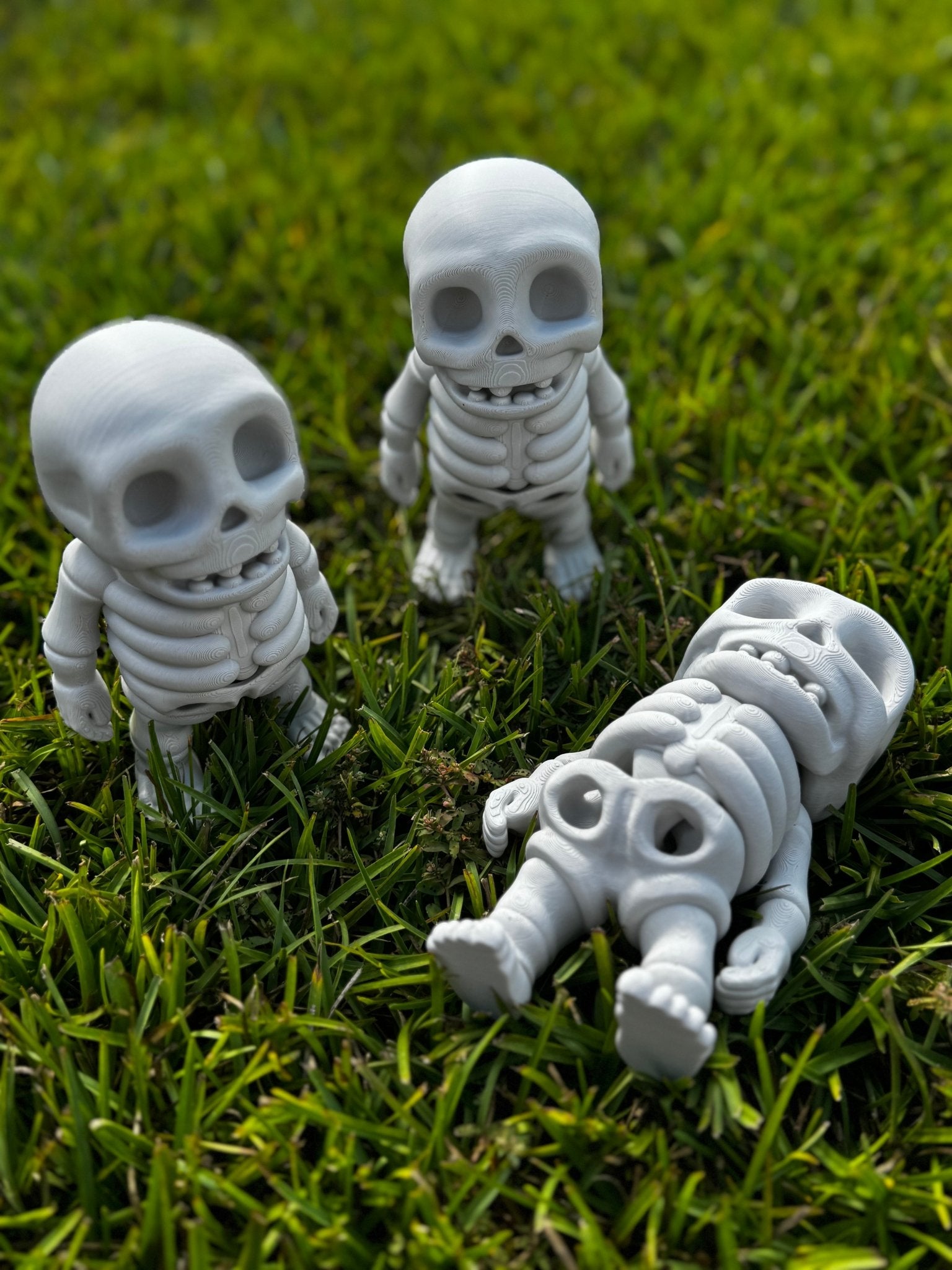 Skeleton Fidget Toy, 3D Printed Sensory Toy - Main Street Collective