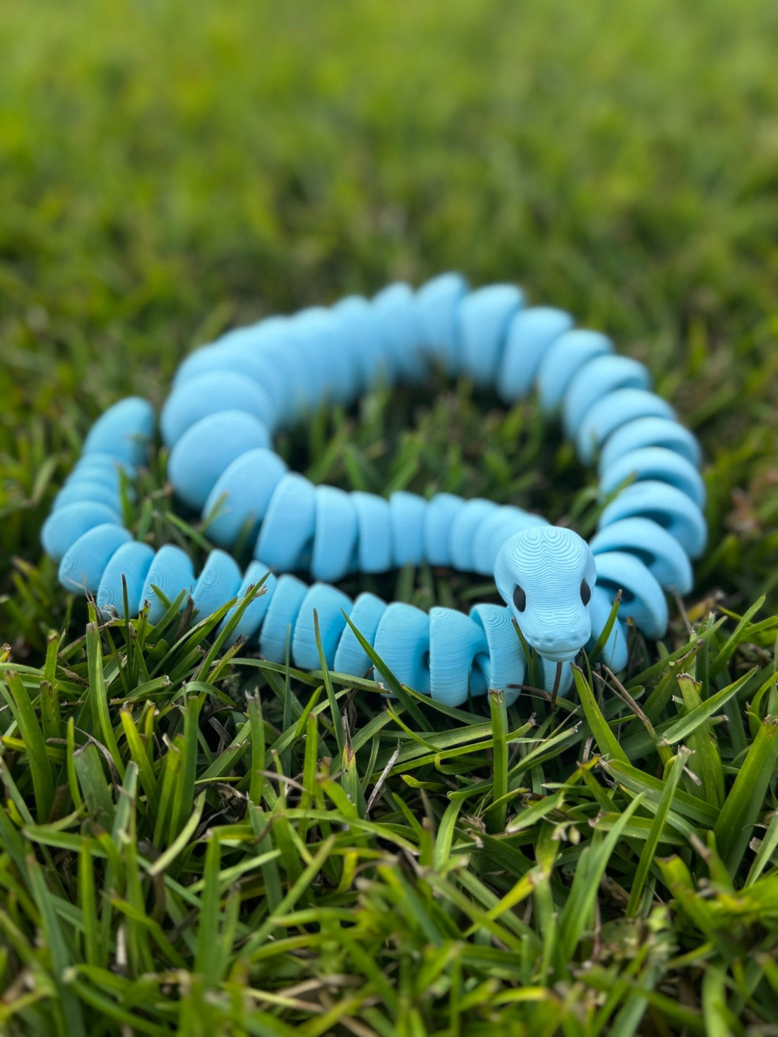 Matte Snake Fidget Toy