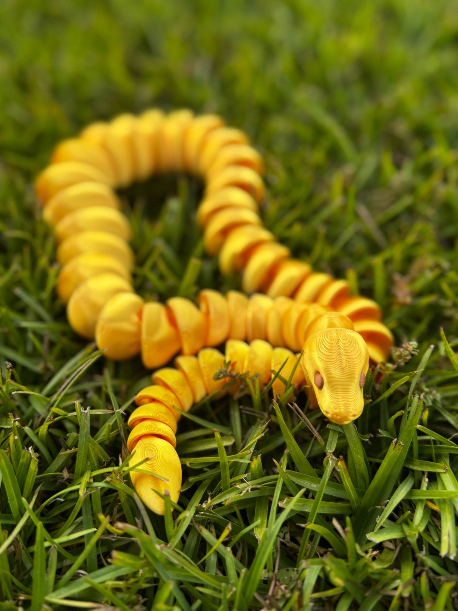 Color Shift Snake Fidget Toy