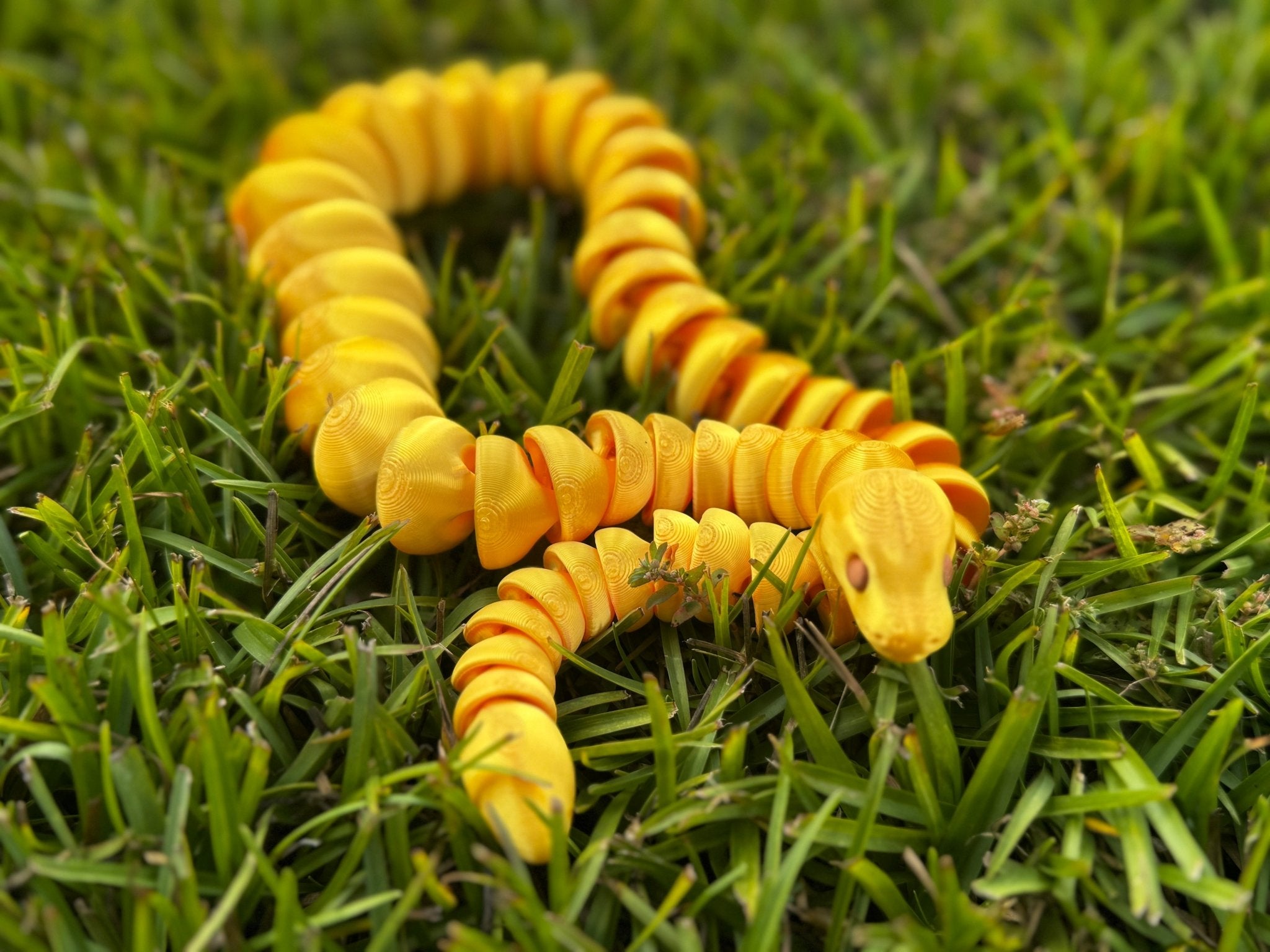 Color Shift Snake Fidget Toy