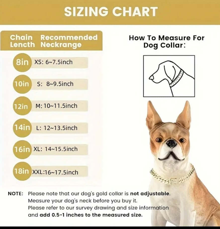 Dog Collar Size Chart: How to Measure Your Dog's Neck for the Perfect Fit