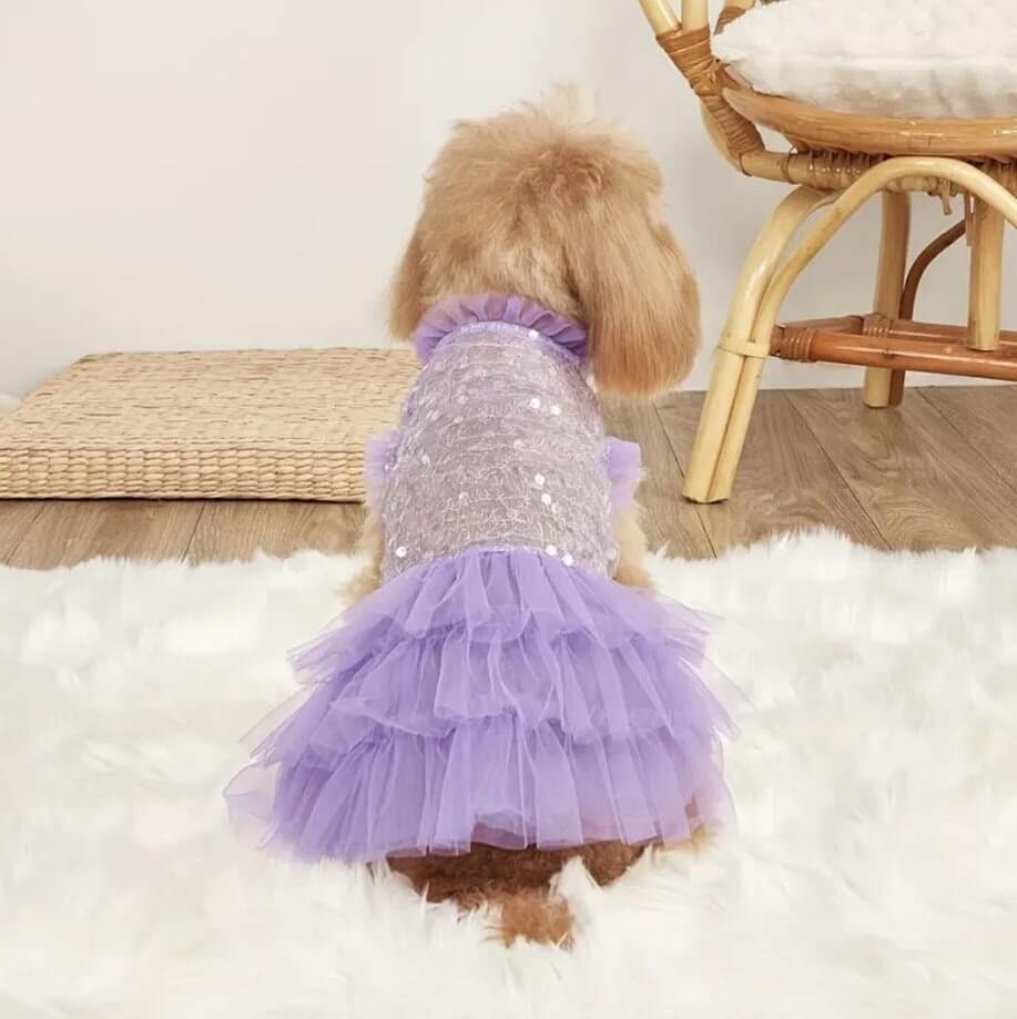 Purple Lace Sequin Dog Dress with Ruffles | Cute Pet Fashion | Stylish Dog Apparel