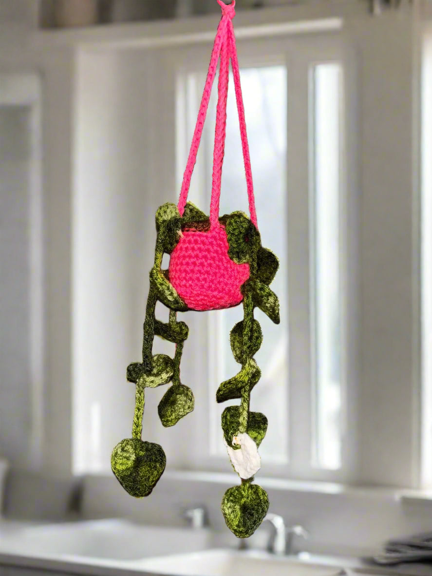Strings of Pearls Crocheted Hanging Plant - Handmade Decor by Klassy Krafts