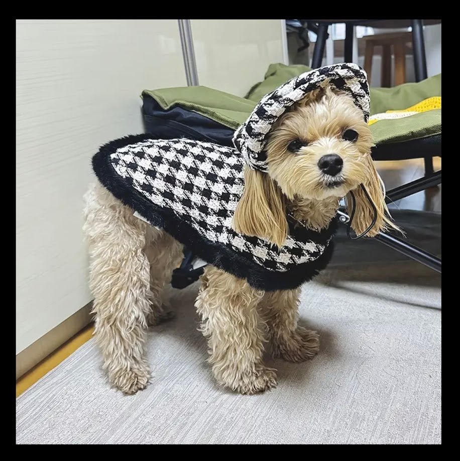 Houndstooth Dog Outfit: Cape, Beret & Leash Set - Main Street Collective L.L.C, Dog Clothes, Dog Fashion