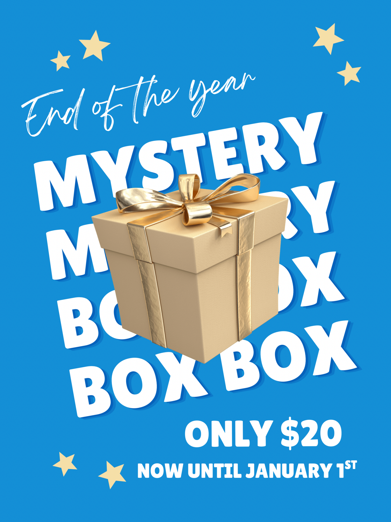 Mystery Box End of Year Sale - Surprise Gift Box only $20!