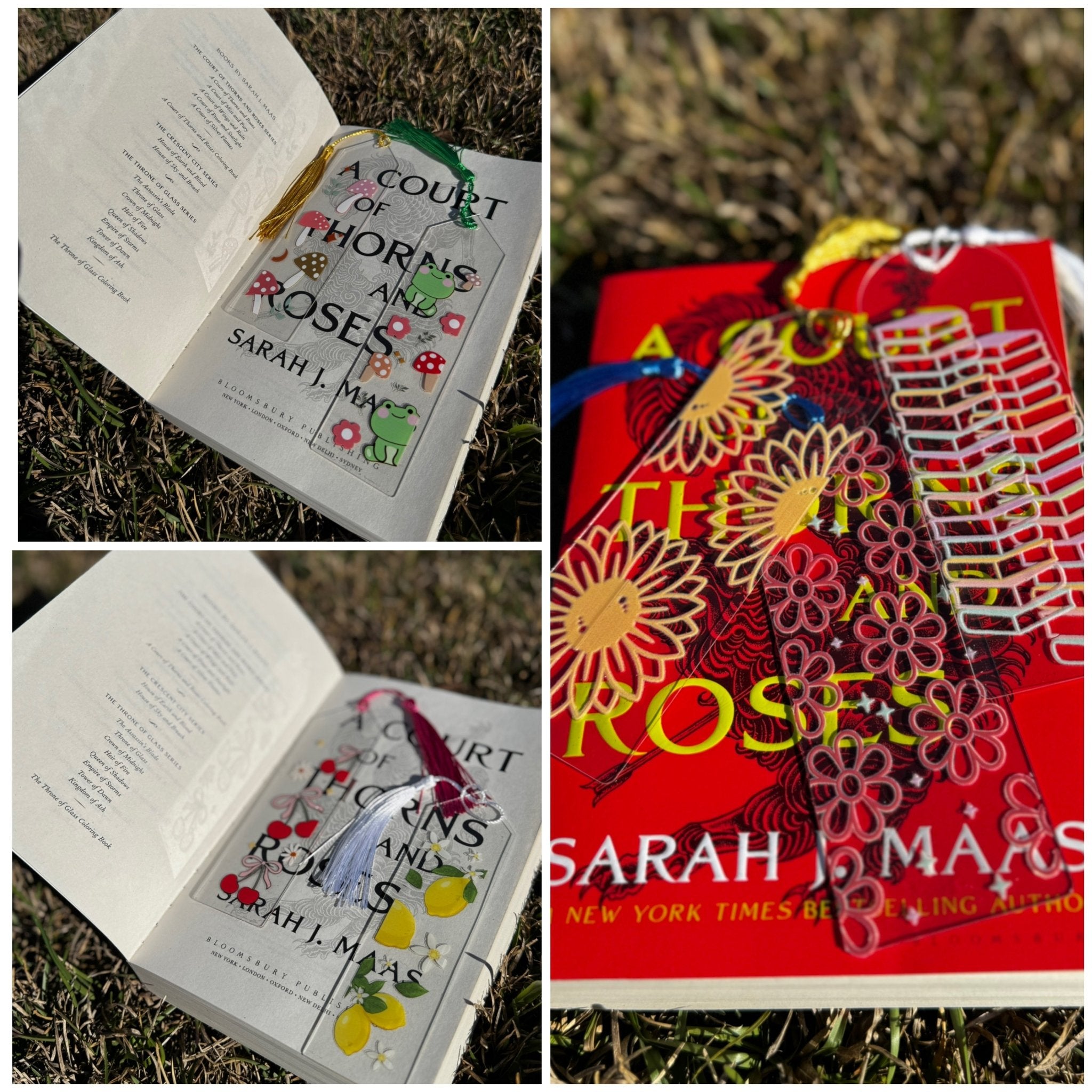 A Court of Thorns and Roses Bookmark Mystery Box by Sarah J. Maas