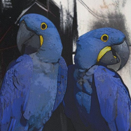 Hyacinth Macaw Anniversary Canvas: Custom Gift for Friends and Loved Ones - Two beautiful blue macaws artwork on canvas.