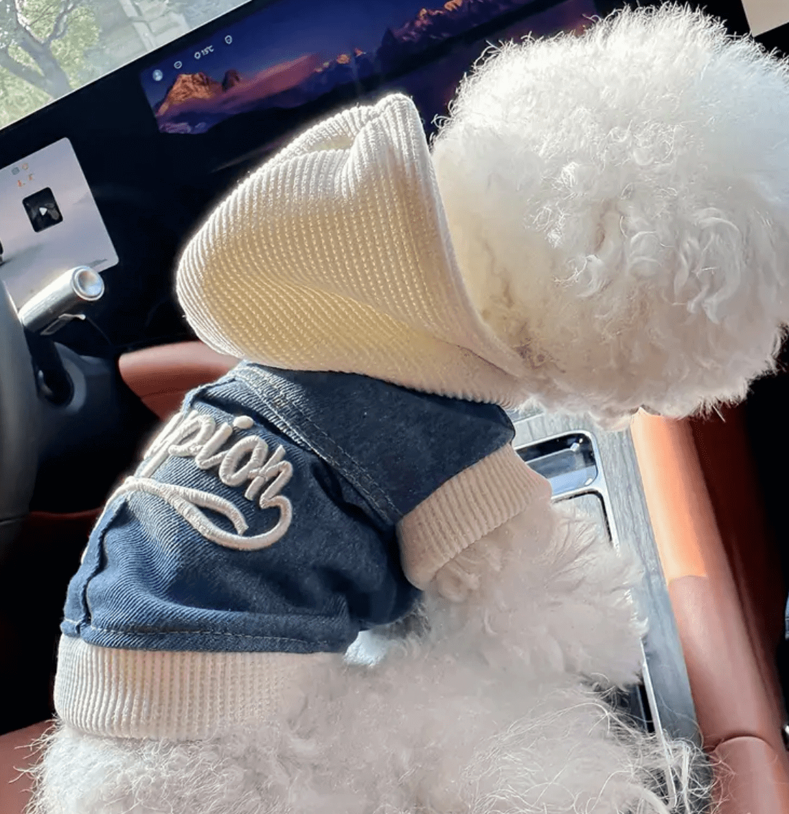 Dog Jacket Denim Champion Hoodie: Cute Puppy Fashion by Coastal Couture Pet Boutique | Main Street Collective