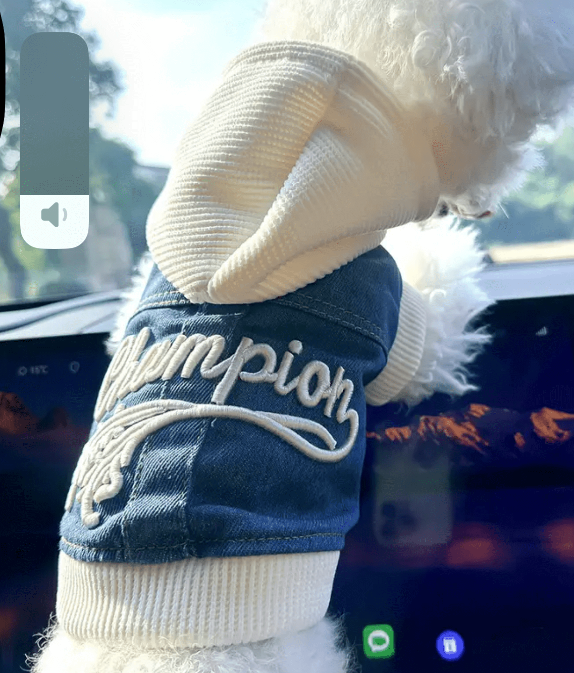 Champion dog jacket: Blue denim pet hoodie by Coastal Couture at Main Street Collective. Stylish dog clothing