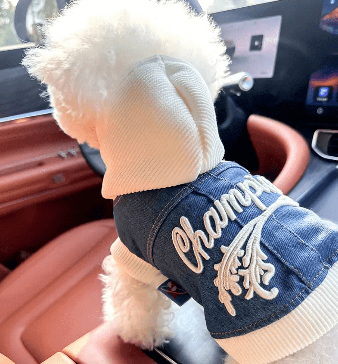 Dog denim jacket Champion hoodie - Stylish pet clothing for small dogs