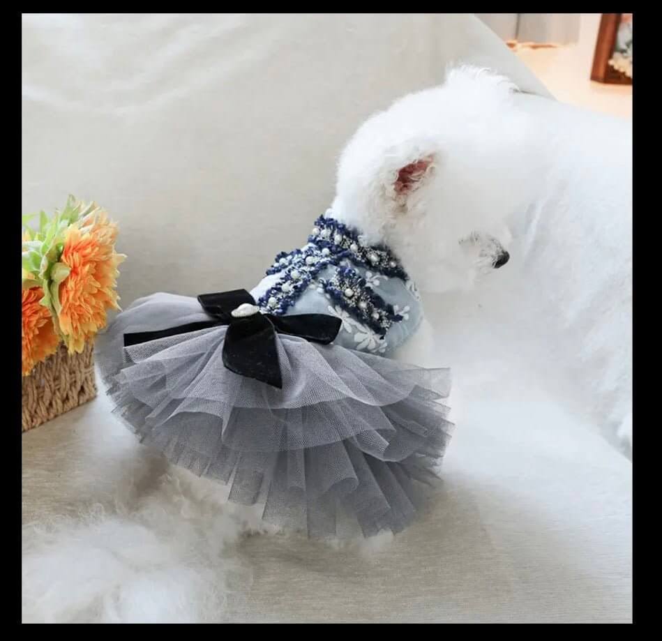 Blue & Grey Dog Dress with Pearl Bow & Tulle - Coastal Couture | Main Street Collective