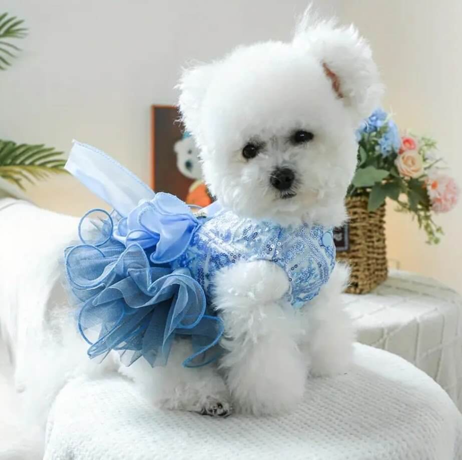 Blue Sequin Ruffle Dog Dress | Small Dog Formal Wear | Puppy Clothes