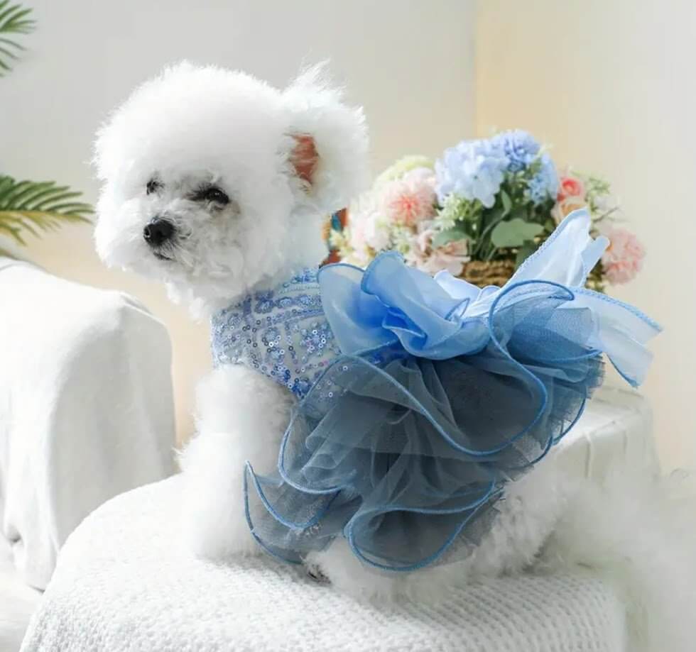 Blue Sequin Dog Dress by Coastal Couture Pet Boutique. Elegant dress for small dogs! Perfect for parties and special occasions.