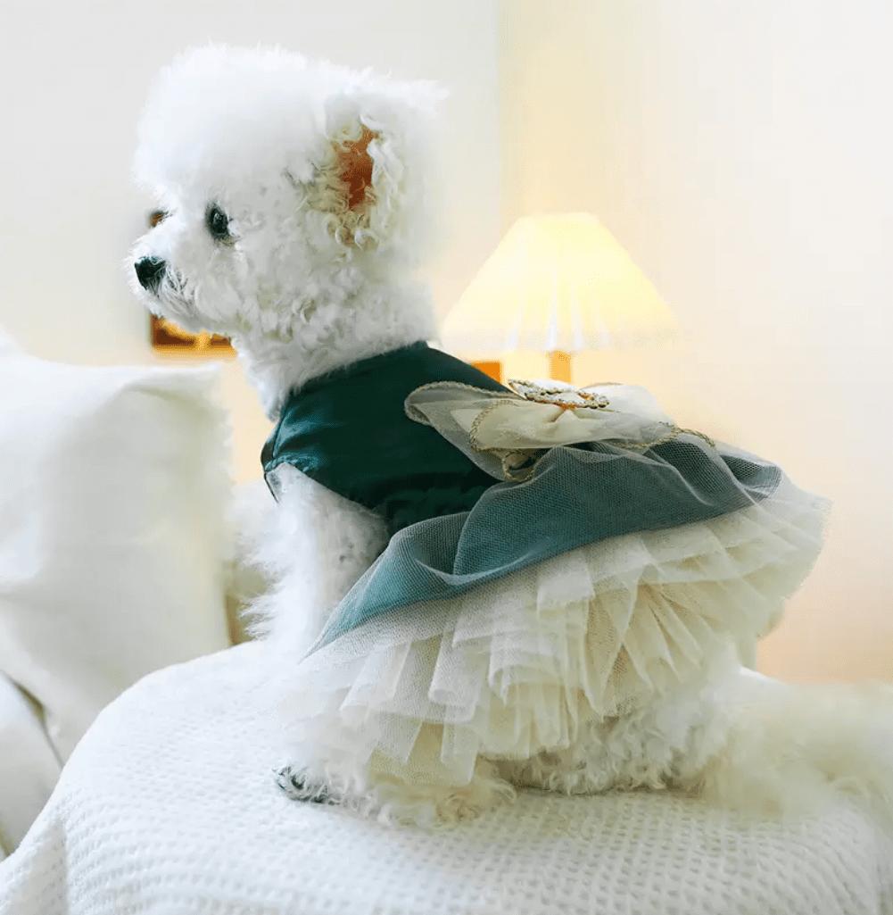 Dog Dress: Green Tulle Bow Ruffle Dress for Small Dogs | Coastal Couture Pet Boutique
