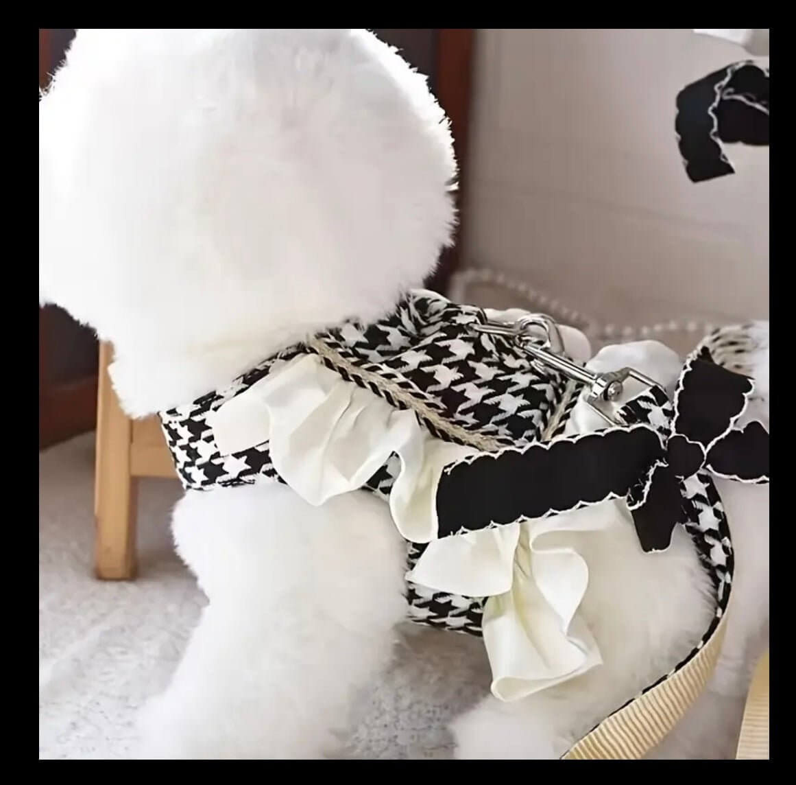 Houndstooth Dog Harness with Bow Leash Set | Coastal Couture Pet Boutique