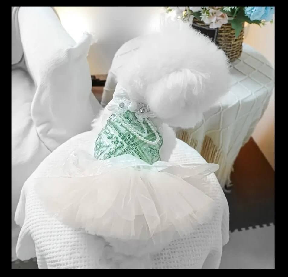 Sequin Dog Dress: Mint Green Luxury Pet Outfit | Small Dog Tutu | Coastal Couture