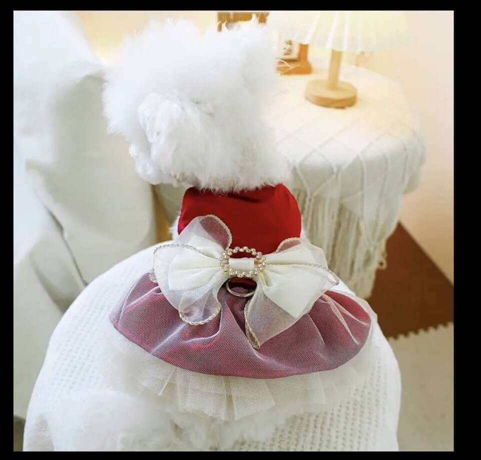 Elegant Red Dog Dress with Gold Bow | Coastal Couture Pet Boutique | Small Dog Pet Dress