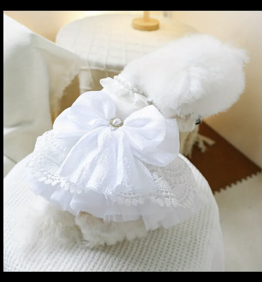 Elegant White Pet Wedding Dress - Coastal Couture Dog & Cat Wedding Outfit with Bow & Tutu. Luxury Pet Clothing from Main Street Collective.
