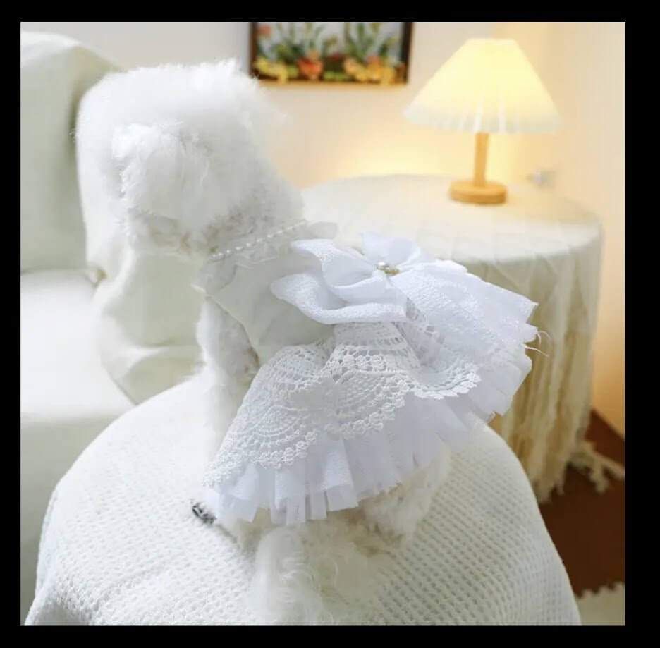 Dog Wedding Dress White Lace Bow | Elegant Pet Dress for Small Dogs | Main Street Collective