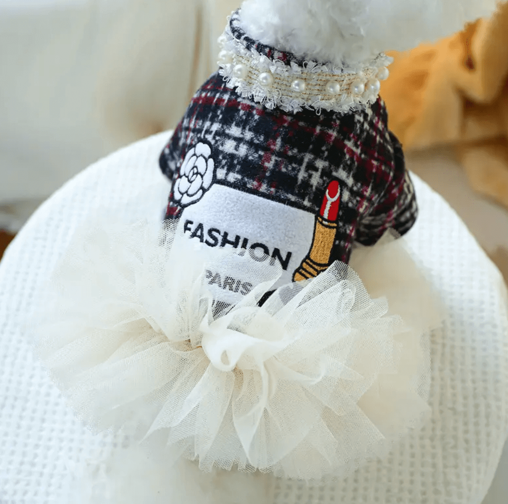 Fashion Paris Tweed Dog Dress: Tutu, Pearls. Designer Pet Clothes by Coastal Couture.